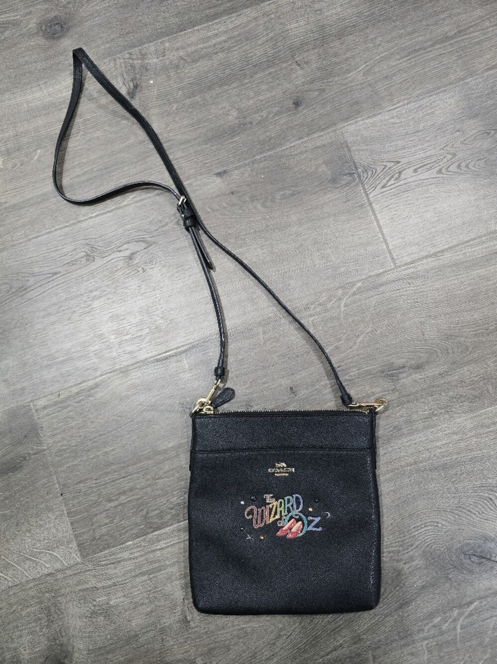 Coach Black Crossbody Bag with Colorful 'Wizard' Embroidery
